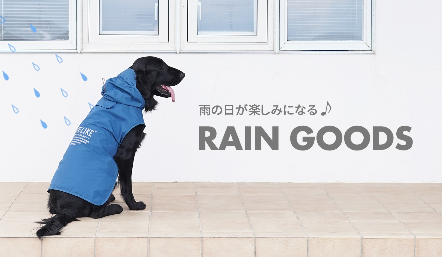 雨の日も楽しくなる♪レイングッズ特集