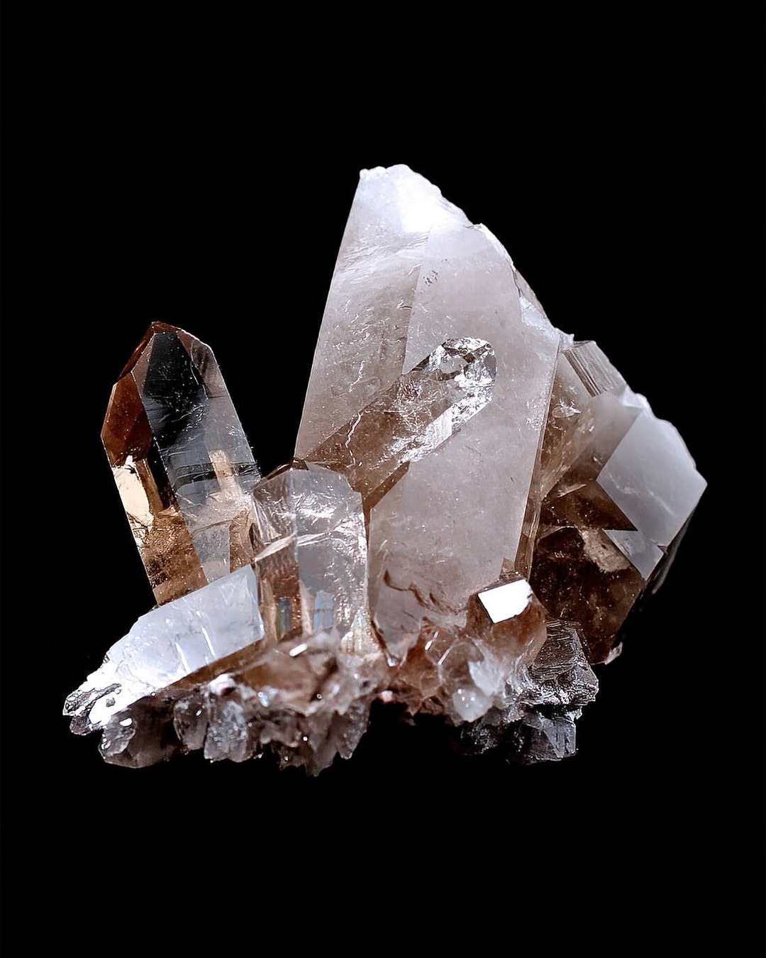 スモーキークラスター