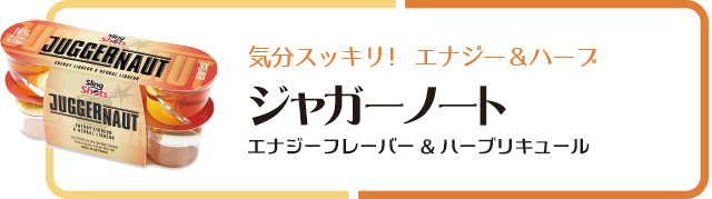 お試し送料無料 スリングショット 5種セット 5種 1パック 各種3本ずつ 計15本 1本あたり200円 16度 リキュール ショット飲み クラブ バー イベント パーティー Sling Shots リキュール お酒の専門店リカマンオンラインショップ