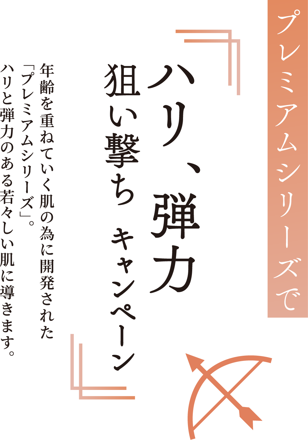 ハリ、弾力狙い撃ちキャンペーン