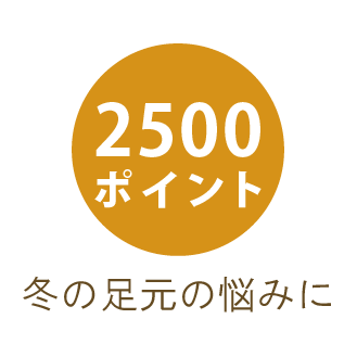 2500ポイント