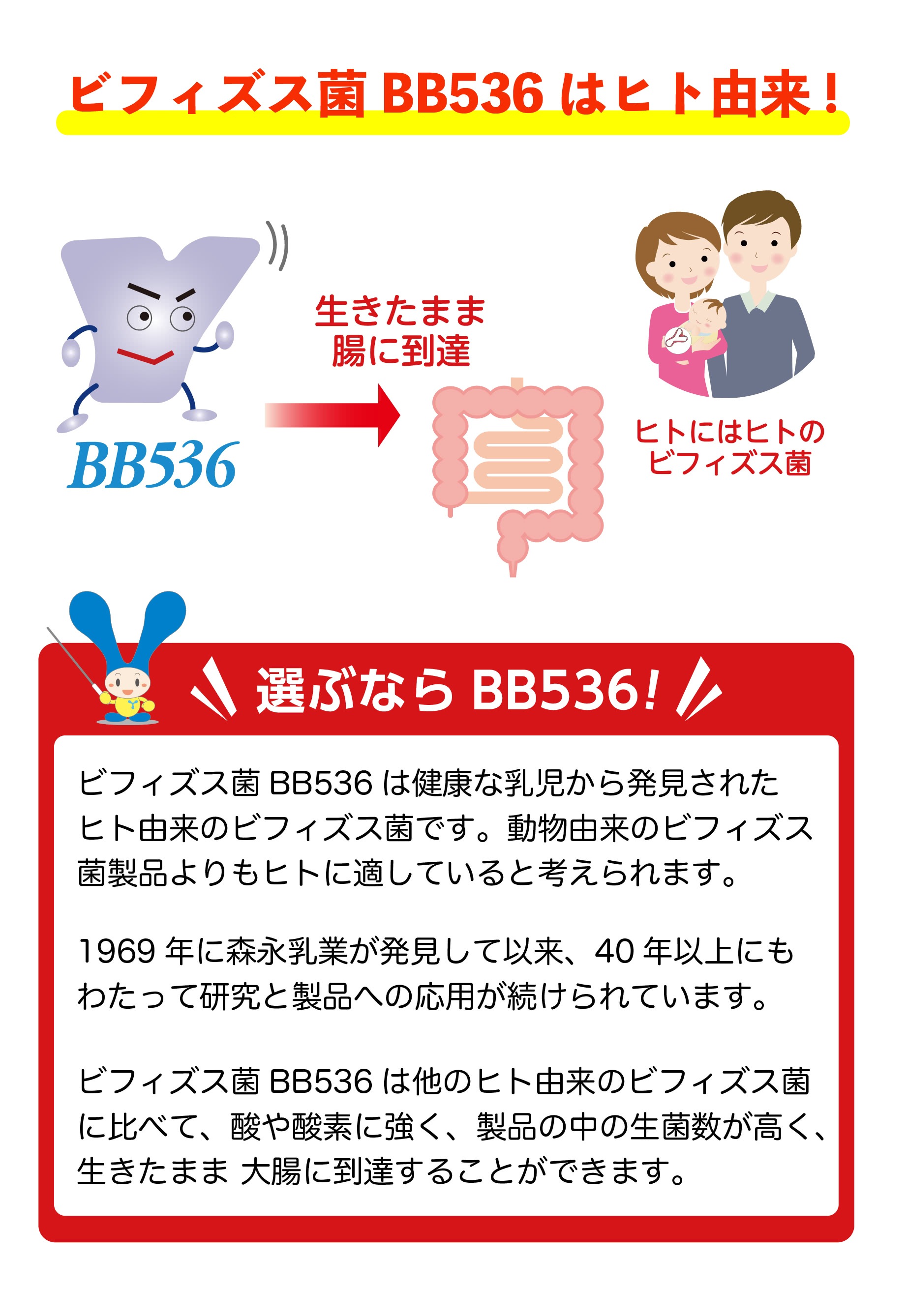 柔らかい ビフィズス菌末BB536 6箱 ecommerceday.do
