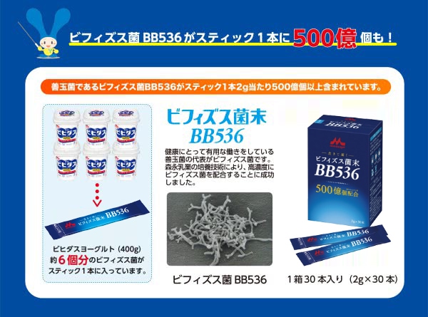 ビフィズス菌末BB536 1箱 (2g×30本) 森永乳業 クリニコ ｜ 食事口腔