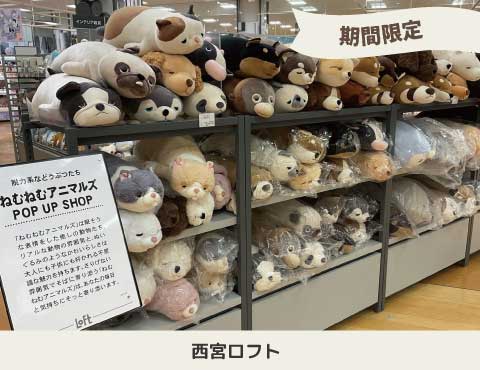 POP UP MARKET 西宮ロフトにて開催中！