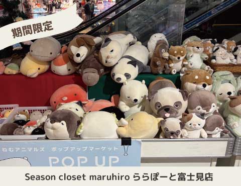 ららぽーと富士見店ポップアップ1