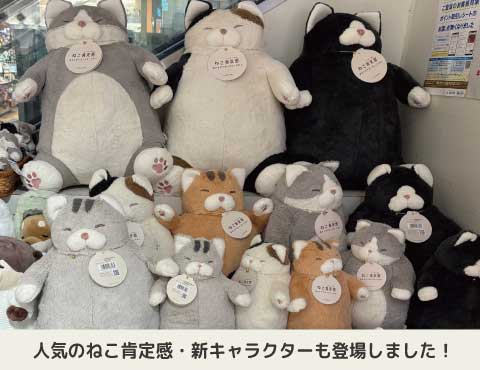 ららぽーと富士見店ポップアップ2