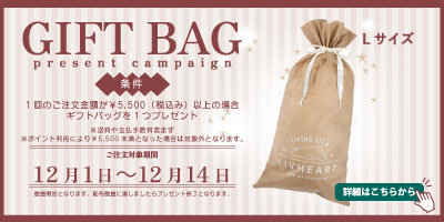 12月ギフトバッグプレゼント