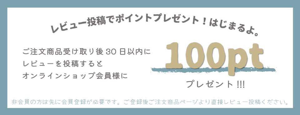 レビュー投稿でポイントプレゼント!
