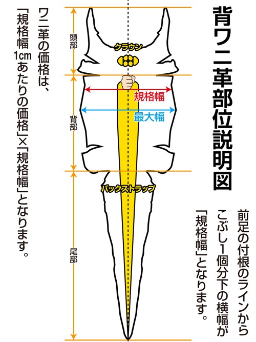 クロコダイル基準 切革が豊富なレザークラフト材料店 レザーマニア