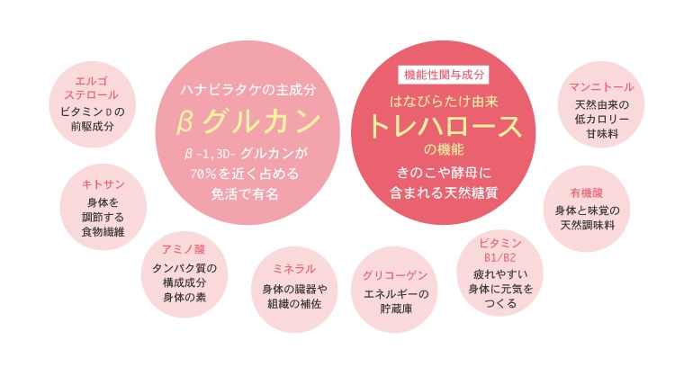 はなびらたけの成分