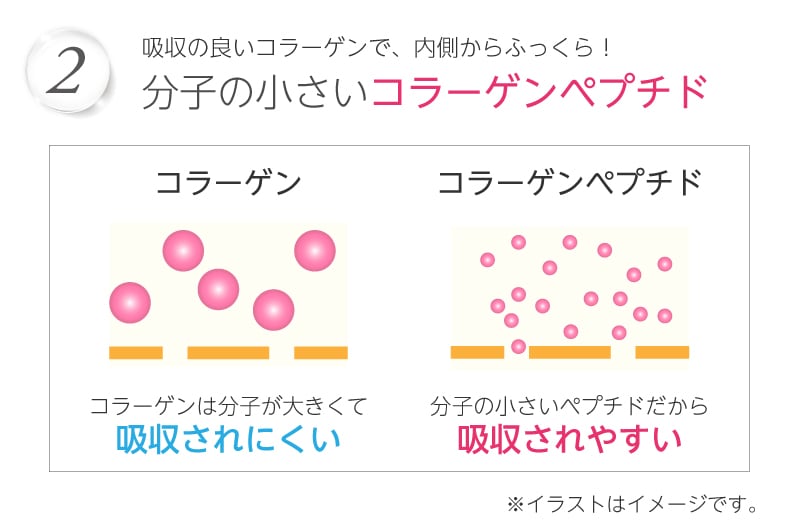 吸収の良い低分子化したコラーゲンペプチド