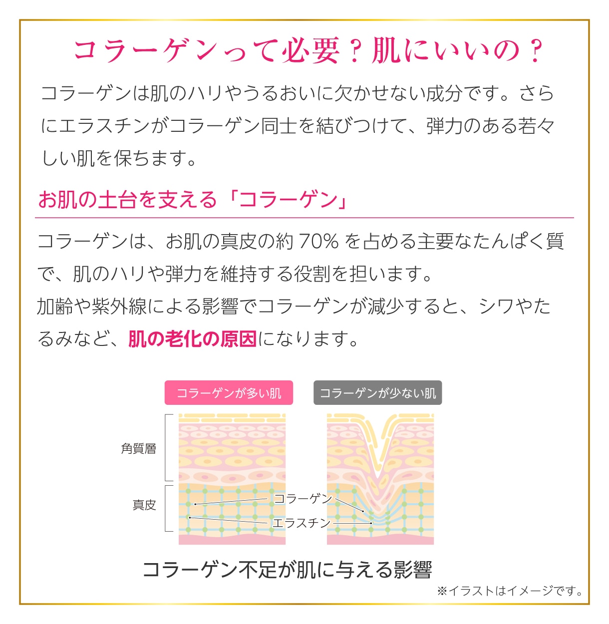 コラーゲンって必要？肌にいいの？
コラーゲンは肌のハリやうるおいに欠かせない成分です。さらにエラスチンがコラーゲン同士を結びつけて、弾力のある若々しい肌を保ちます。
お肌の土台を支えるコラーゲン
コラーゲンは、お肌の真皮の約70%を占める主要なたんぱく質で、肌のハリや弾力を維持する役割を担います。
加齢や紫外線による影響でコラーゲンが減少すると、シワやたるみなど、肌の老化の原因になります。
