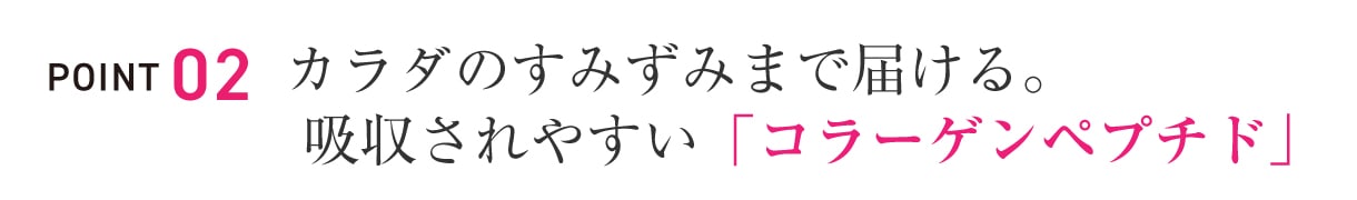 POINT.2：カラダのすみずみまで届ける。 吸収されやすい「コラーゲンペプチド」