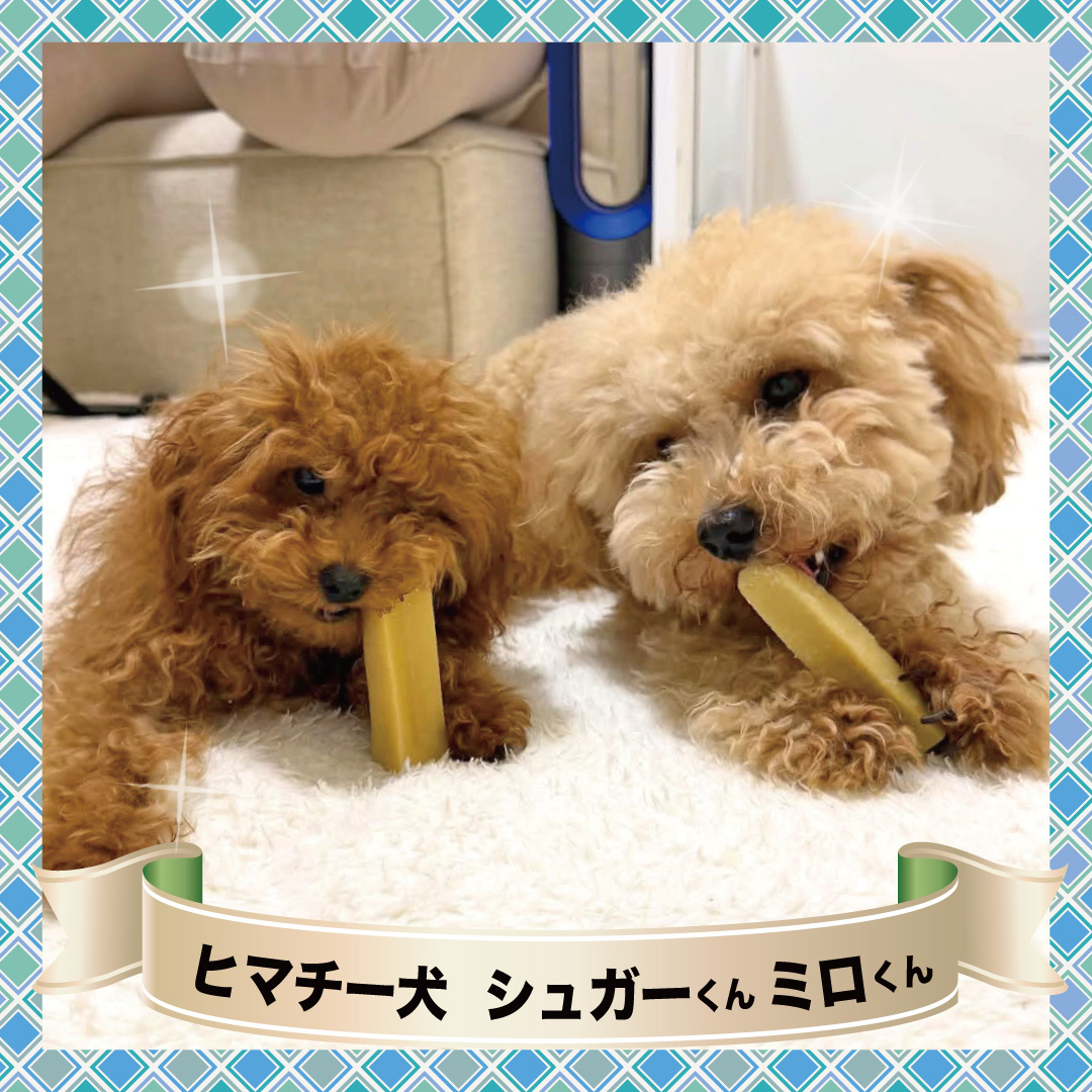�ҥޥ������罸��