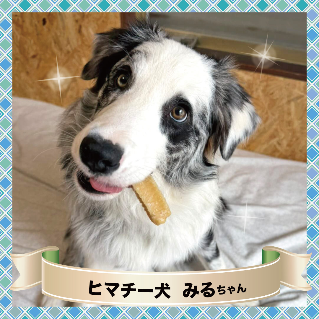 �ҥޥ������罸��