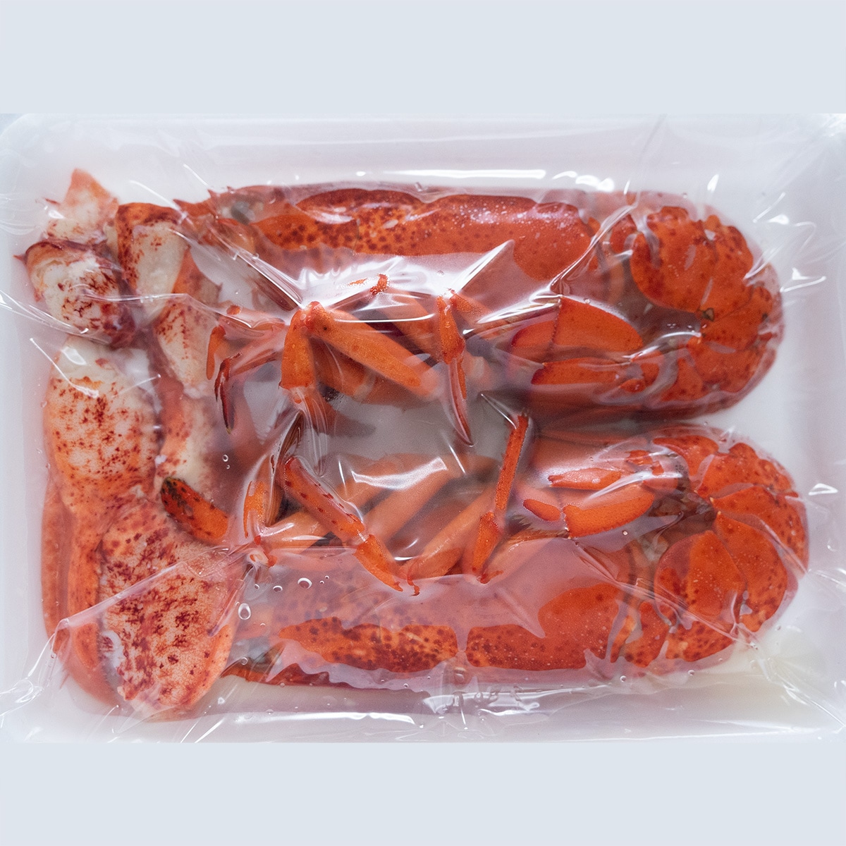 ロブスターの旬