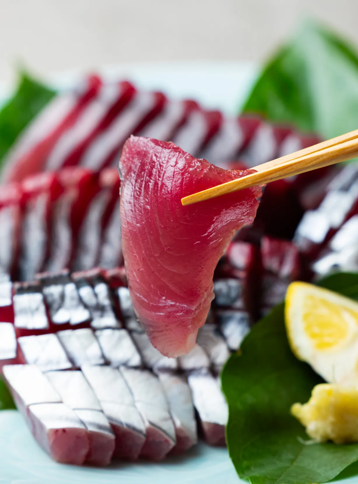 遠州灘産初カツオ - 浜名湖ガストロノミー