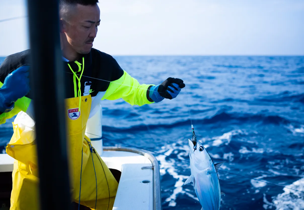 引縄一本釣り