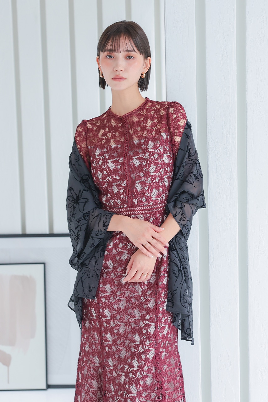 ����ȥ饹�ȥ졼���ޡ��ᥤ�ɥɥ쥹