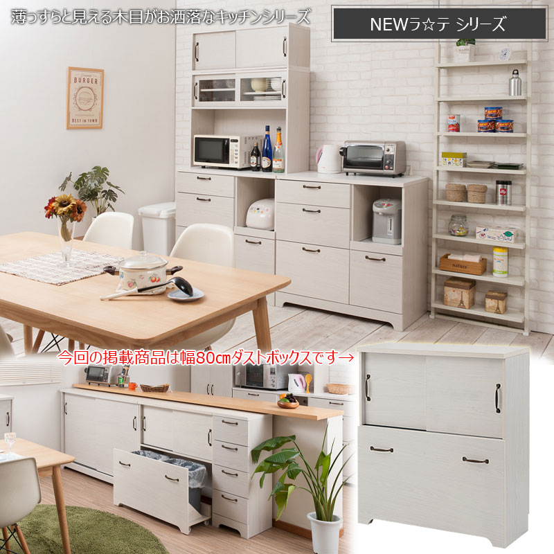 カウンター下収納 ダストボックス 2分別 24L×2 ゴミ箱 kt26-017wh