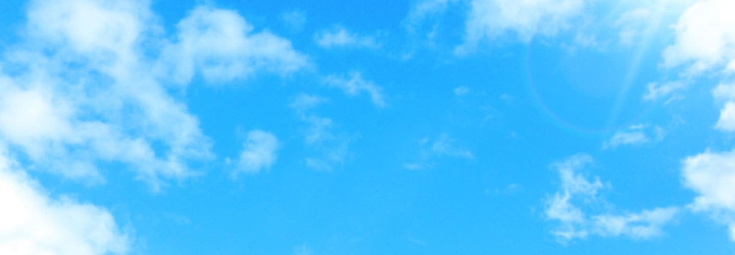 ��ư���ý�