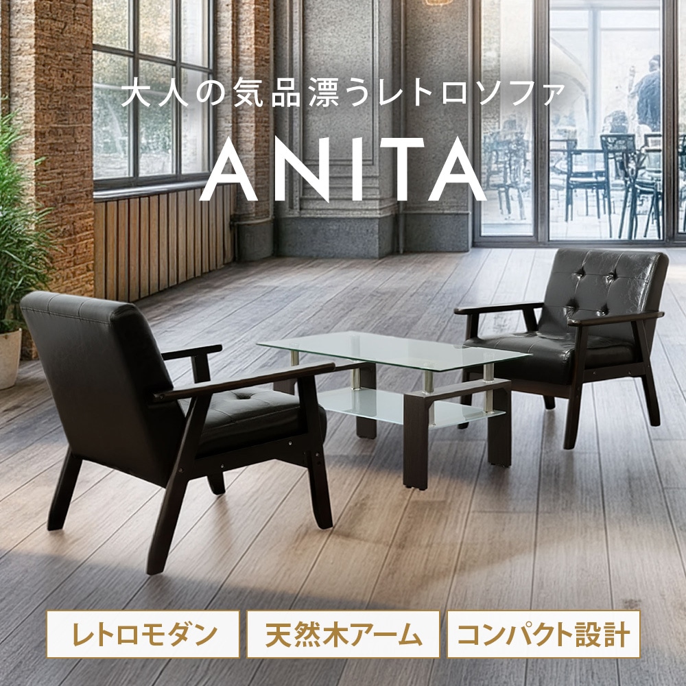 応接セット 3点セット 2人 応接 ソファ ANITA-2-1P2T5S（商品番号