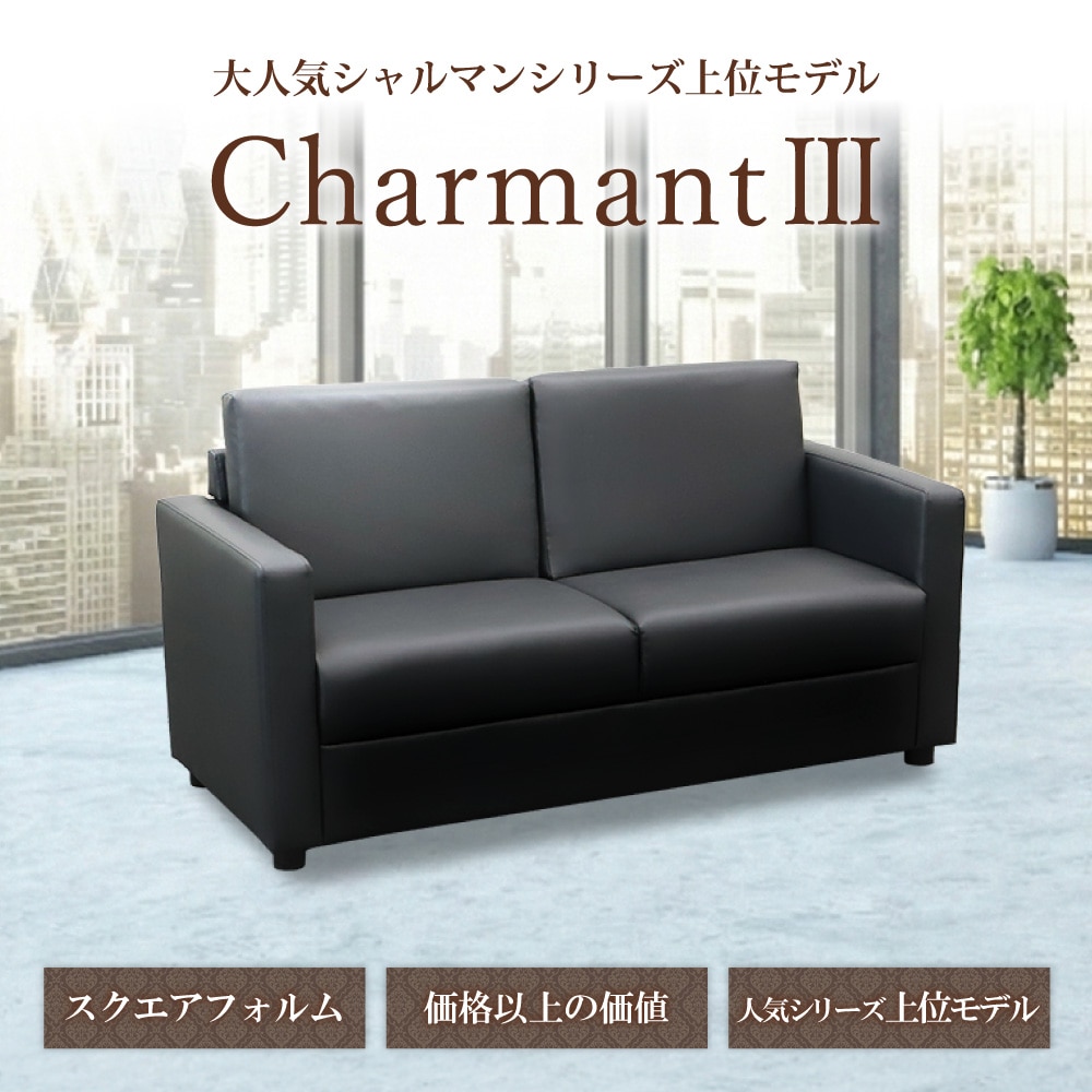 応接ソファ 2人用 2人掛け 2人 ソファ CHA3-2-2（商品番号：CHA3-2-2