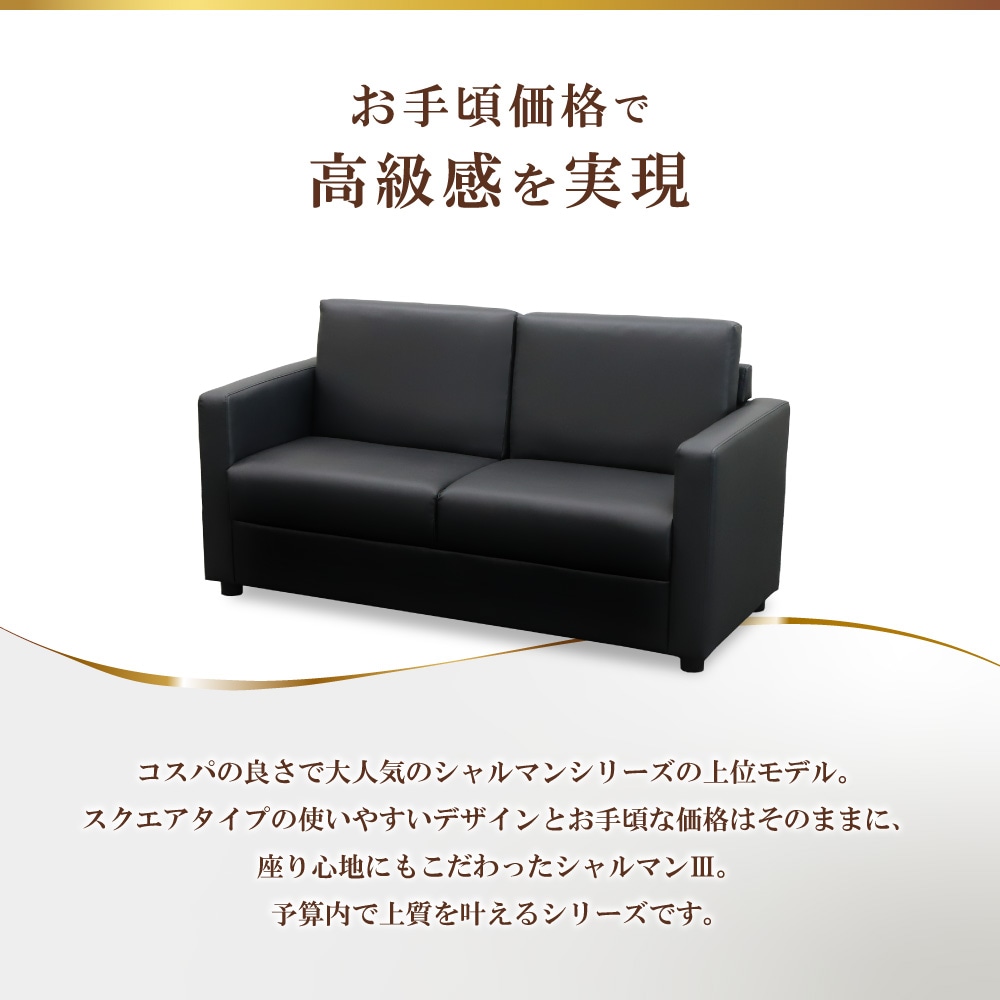 応接ソファ 2人用 2人掛け 2人 ソファ CHA3-2-2（商品番号：CHA3-2-2