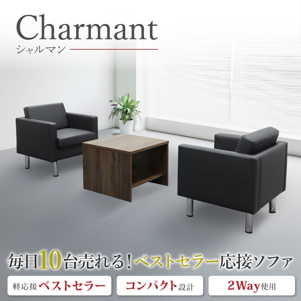 応接セット 3点セット 2人 応接 ソファ SA681-1-2A2T14S（商品番号