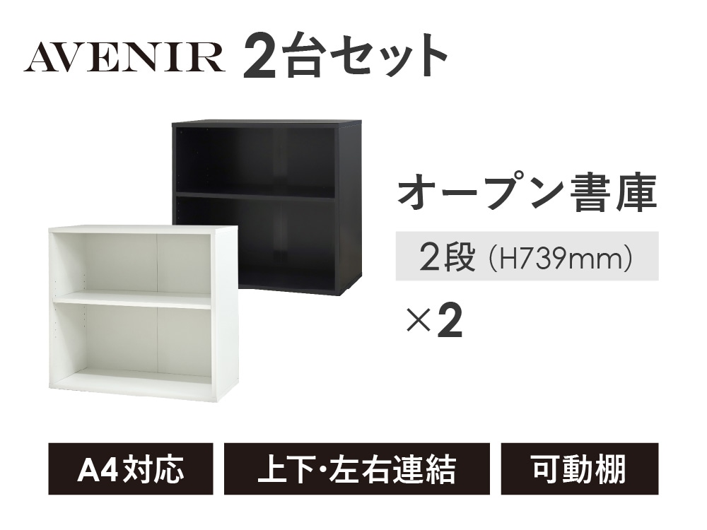木製キャビネット 2台セット 2段 オープン AO-22（商品番号：nf-ao-22