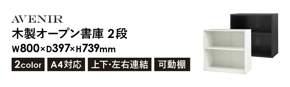 倉庫受取限定】 木製キャビネット 2段 オープン 書庫 収納棚 AO-2-SO
