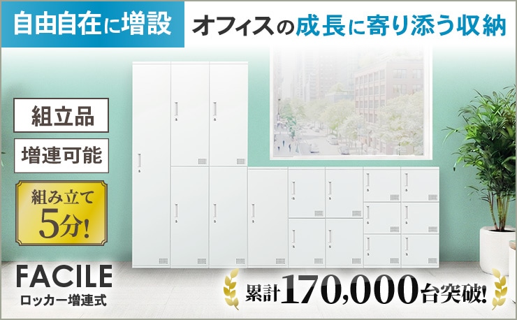 No.196 【2点セット】Cehaスチールロッカー 2人用シンプルスチールロッカー 幅608 奥行515 高さ1790 LKA-W2 通販
