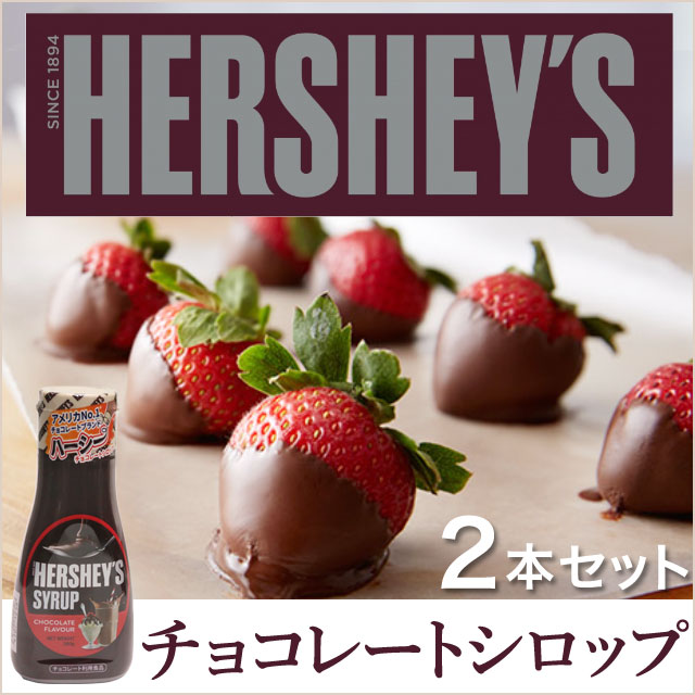 通販 Hershey S チョコシロップかけるだけ 簡単チョコスイーツ おうちカフェ 2本セット 食品ロス フードロスをゼロへ ロスゼロ