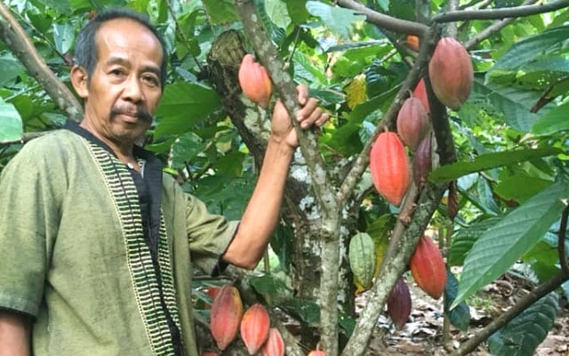 インドネシア農家