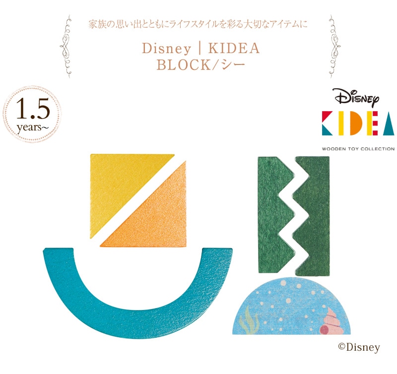 DisneyKIDEA BLOCK/ TYKD00205