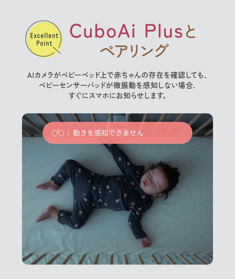 CuboAi  塼ܥ ٥ӡ󥵡ѥå