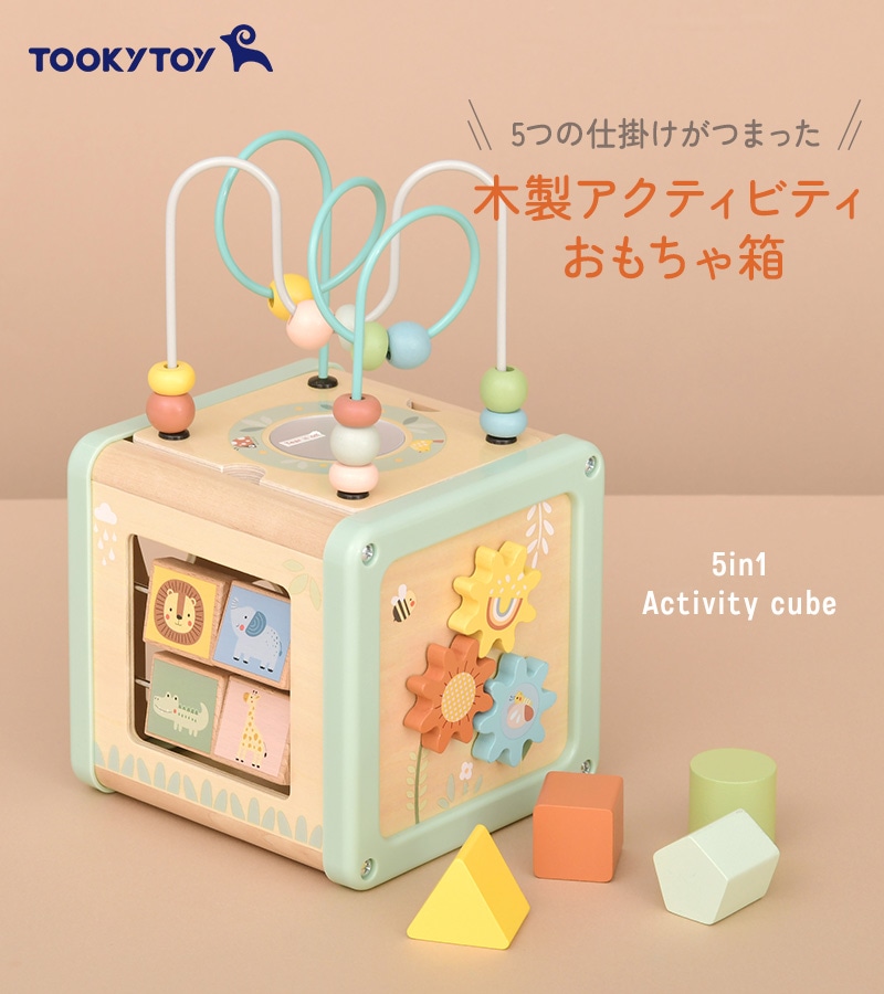 Tooky Toy ȥȥ 5in1 ƥӥƥ塼