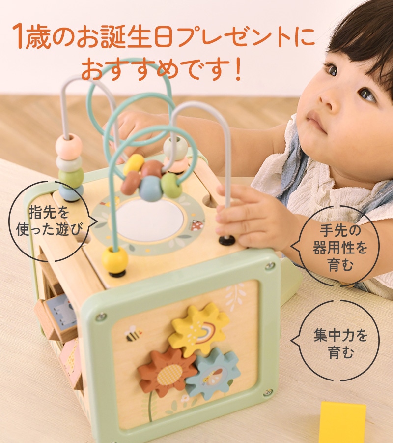 Tooky Toy ȥȥ 5in1 ƥӥƥ塼