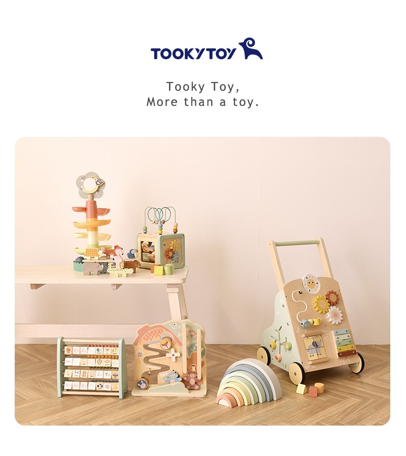 Tooky Toy ȥȥ 5in1 ƥӥƥ塼