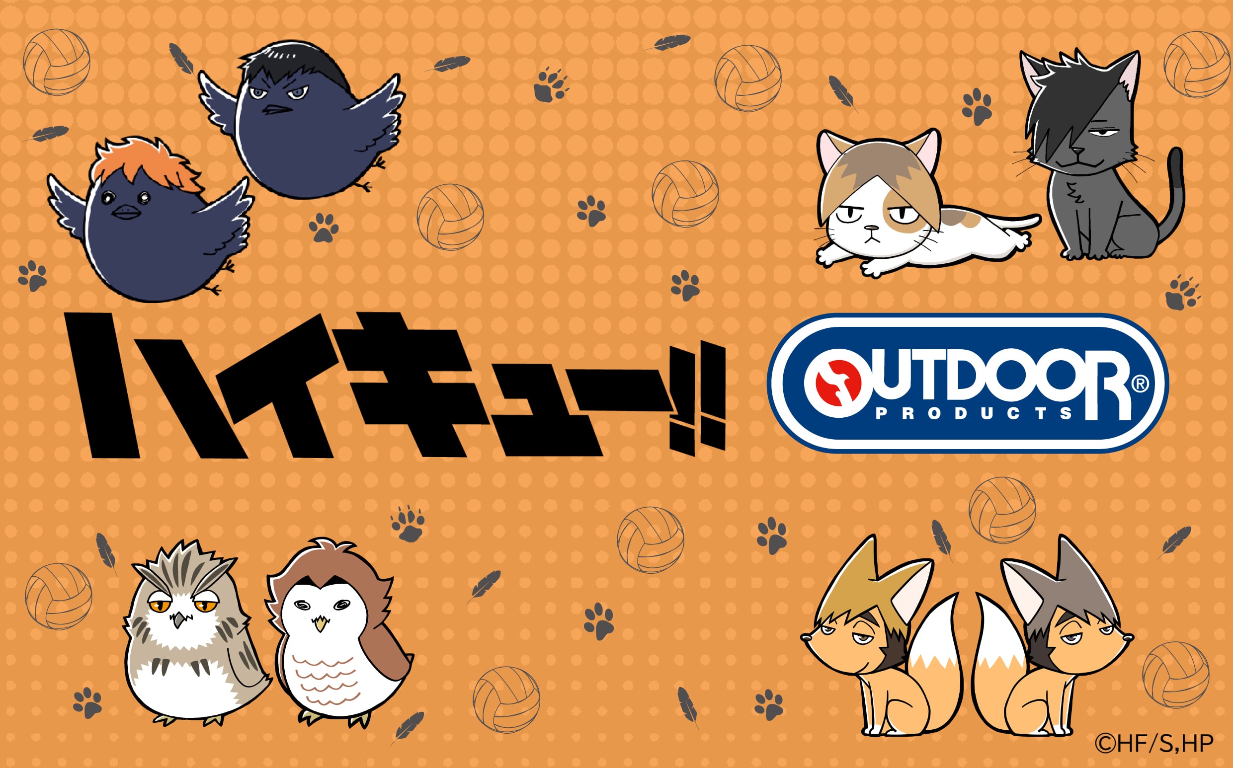 ハイキューヘッダー画像