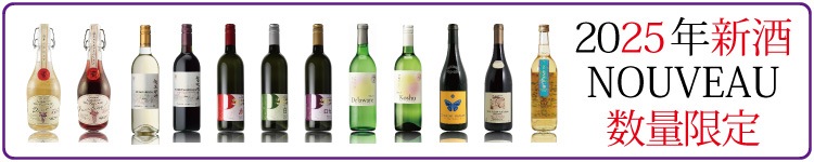 �ܥ���졼2025