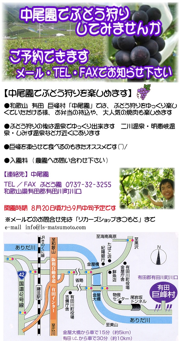 訳あり ありだ 巨峰村 中尾園の朝採り完熟巨峰