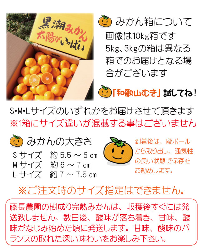 有田市宮原地区 藤長農園 お歳暮 有田みかん 5kg