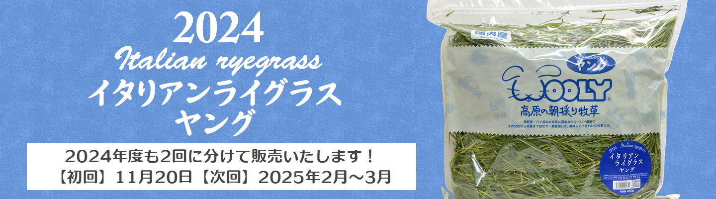 2024朝採り牧草「イタリアンライグラス・ヤング」450g