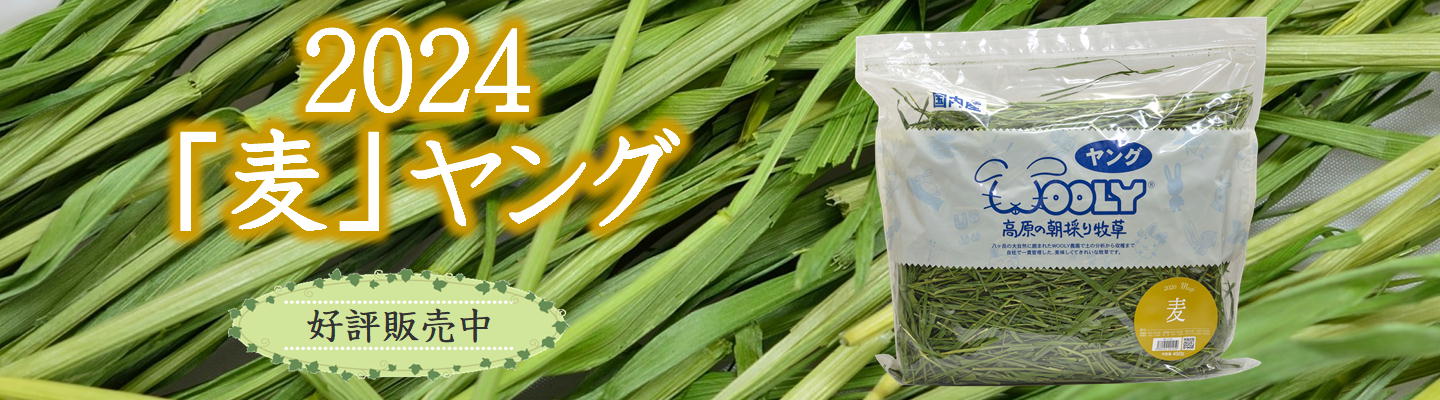 2024朝採り牧草「麦ヤング」450g