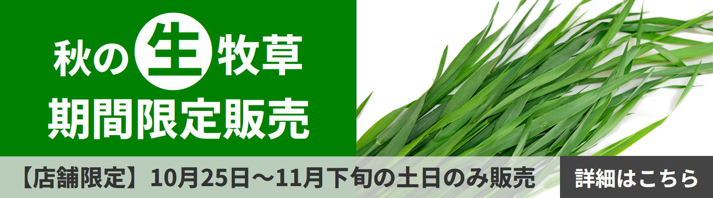 秋の生牧草期間限定販売2025