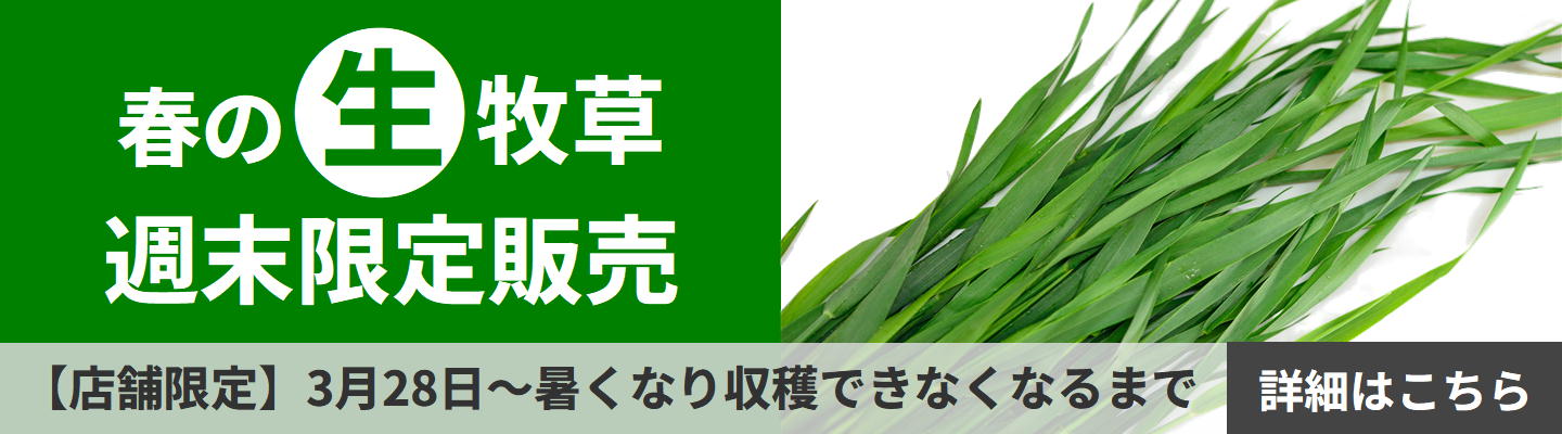 春の生牧草販売のお知らせ