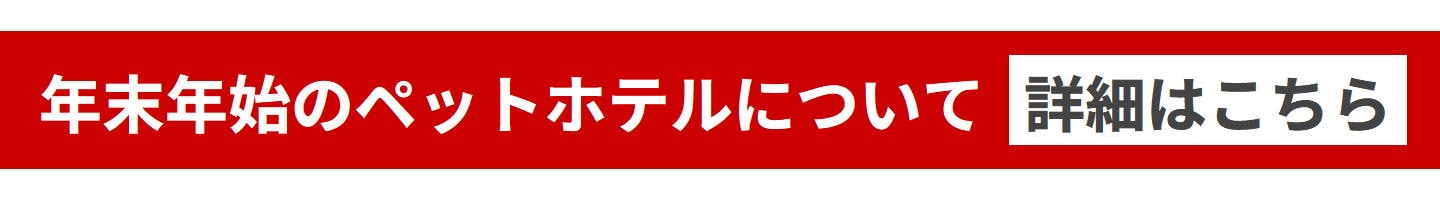 年末年始のペットホテルについて