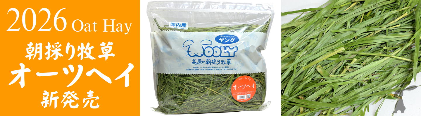 2026朝採り牧草「オーツヘイ」