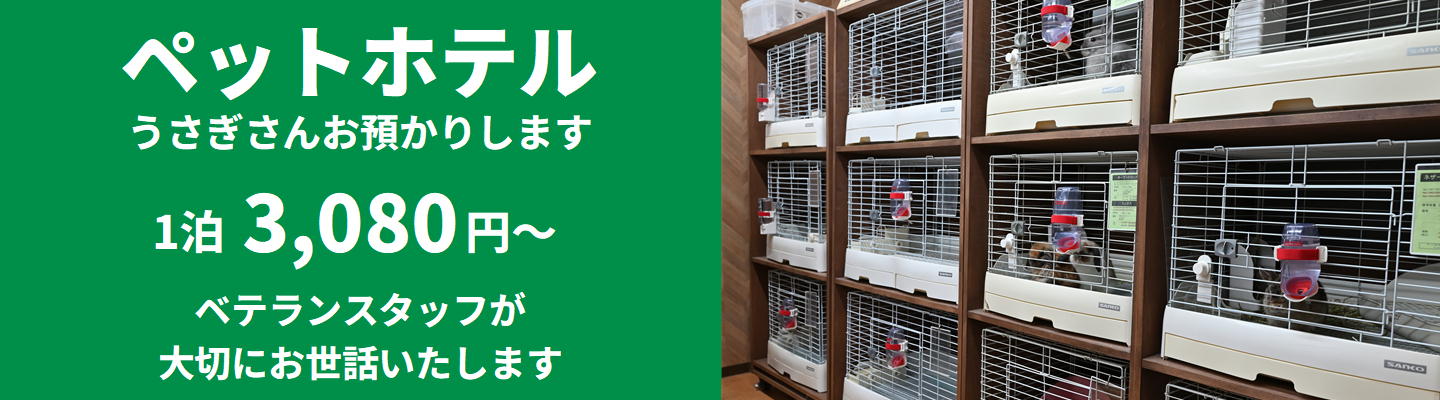 ペットホテル